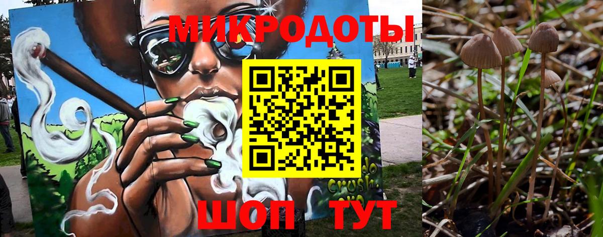 Псилоцибиновые грибы мицелий Заводоуковск